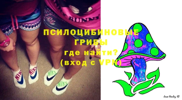 гидропоника Балахна