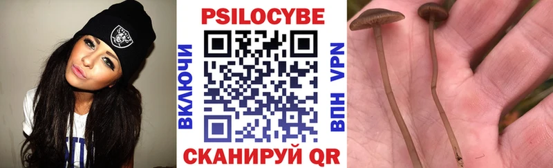 купить наркоту Кувандык Псилоцибиновые грибы мицелий