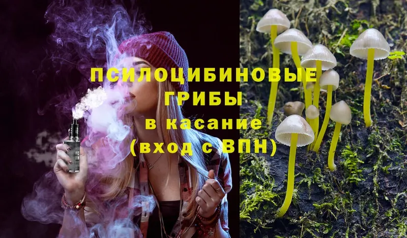 Псилоцибиновые грибы Cubensis Кувандык