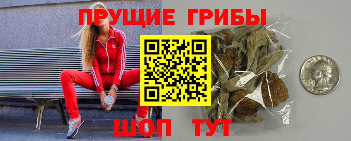 Галлюциногенные грибы мицелий  Галлюциногенные грибы Cubensis  Вход с VPN  Кувандык 